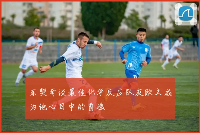 东契奇谈最佳化学反应队友欧文成为他心目中的首选