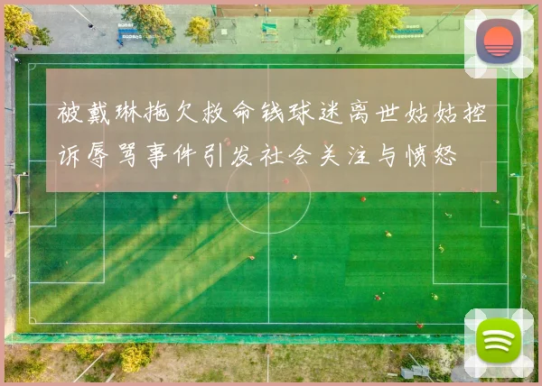 被戴琳拖欠救命钱球迷离世姑姑控诉辱骂事件引发社会关注与愤怒