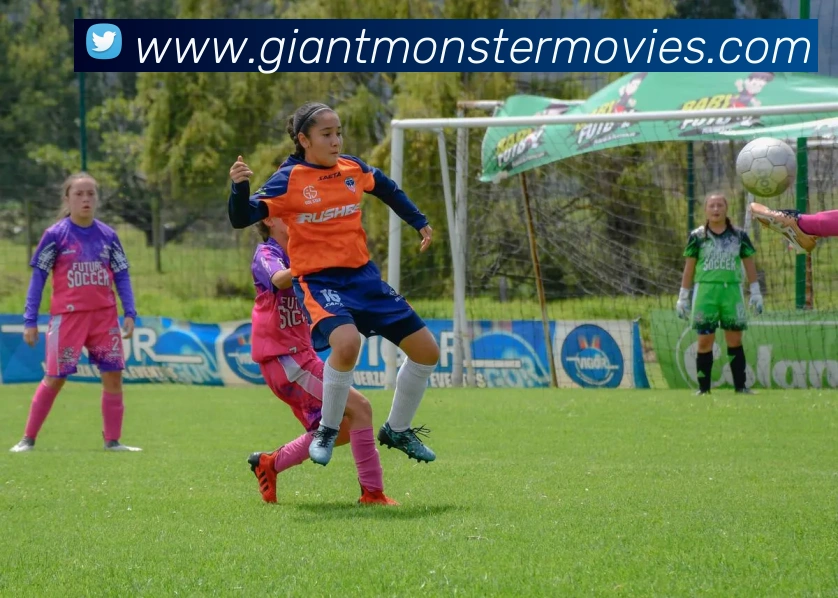 博亚体育发展历程