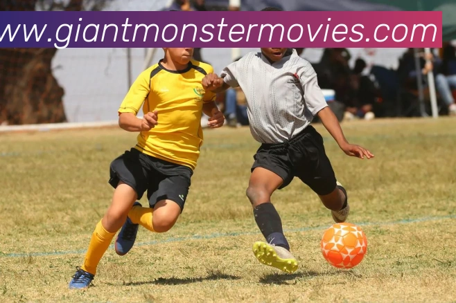 多媒体互动体验