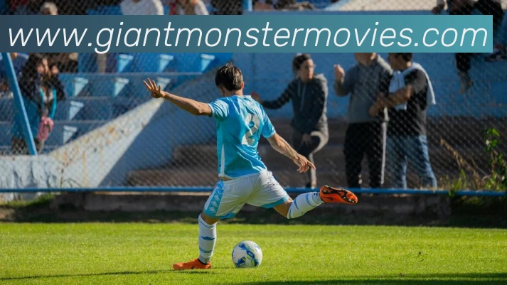 博亚体育APP 封面图